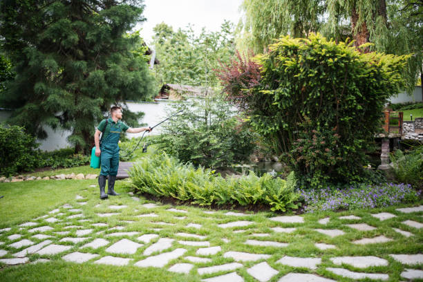 Reliable Victorville, CA Pest Control Solutions