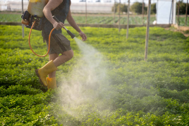 Best Bird Control  in Victorville, CA