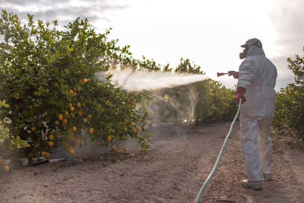 Best Bird Control  in Victorville, CA