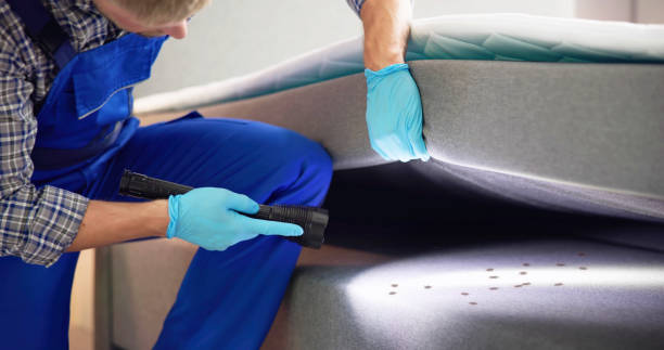 Best Best Pest Control Companies  in Victorville, CA