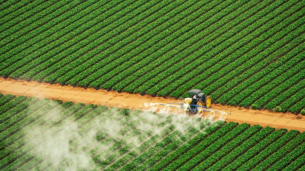 Best Pest Removal Services  in Victorville, CA