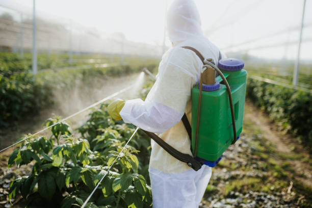 Best Pest Control Near Me in Victorville, CA